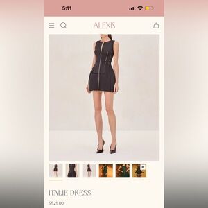Alexis italie Black Mini Dress